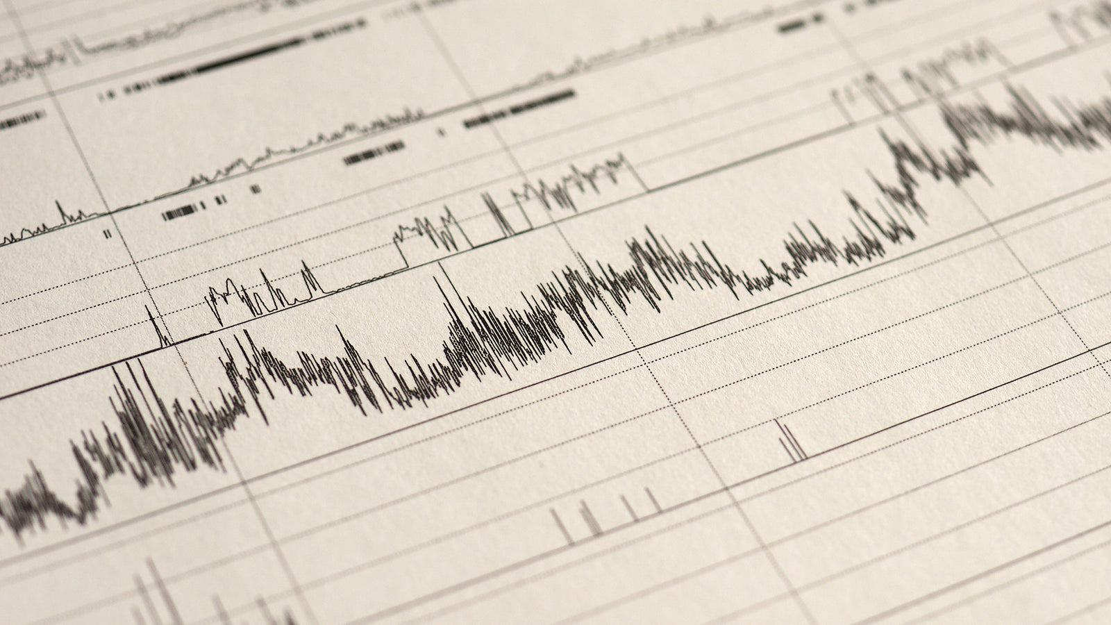 Deep Sleep Grounding Bag, 90-Day Sleep Tracking Test