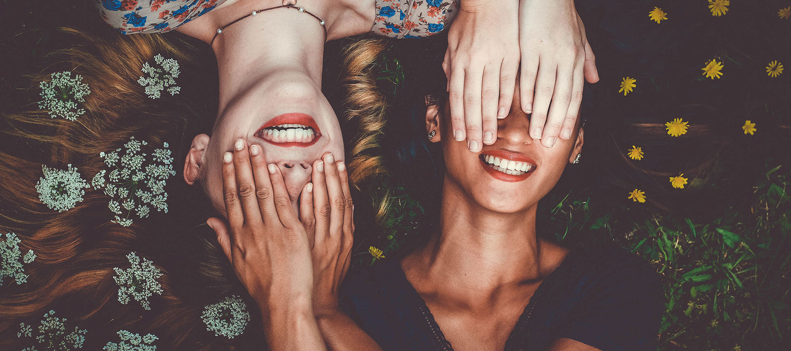 Women’s ovaries absorb?